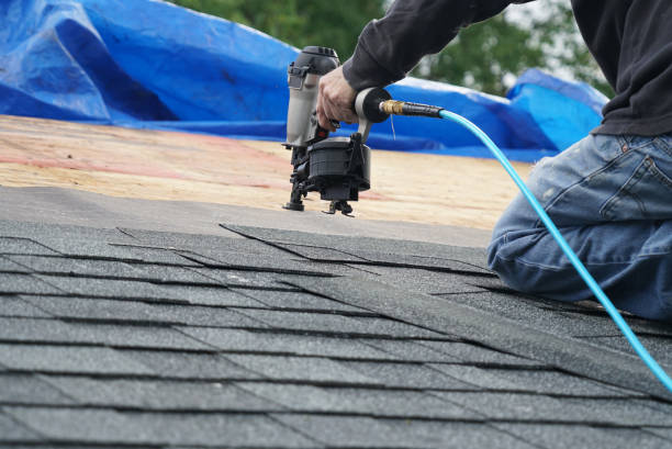 Roof Moss and Algae Removal in Marion, KY